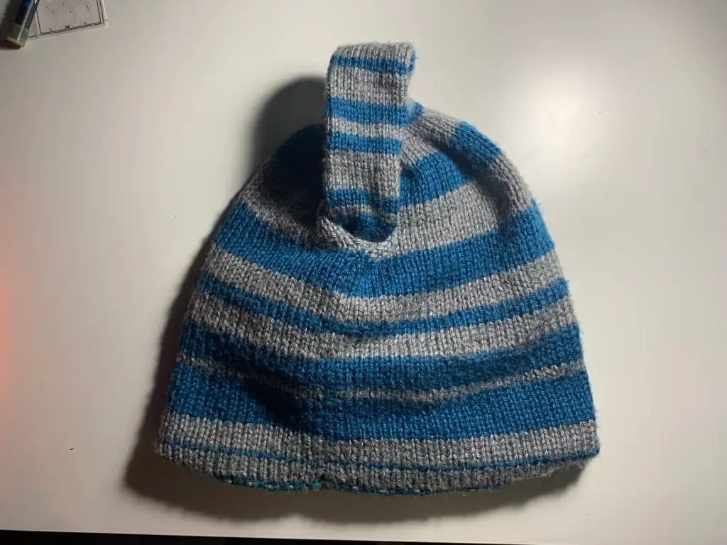 Klein Bottle Hat Unfolded (Back) 2